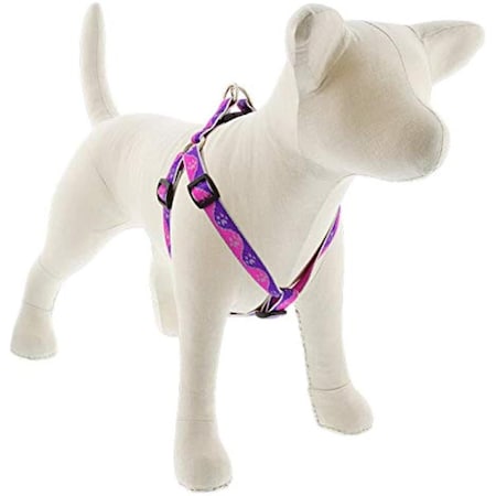 Lupine Pet Lupine 0.75 x 15-21 in. Paws Dog Harness, Pink 107779